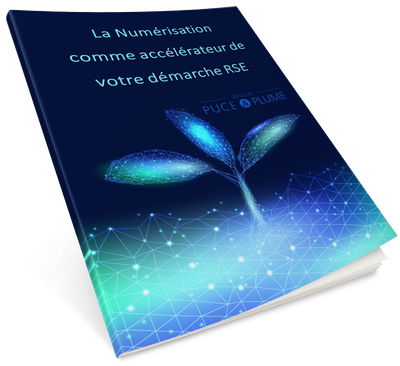 Cover ebook numerisation et RSE