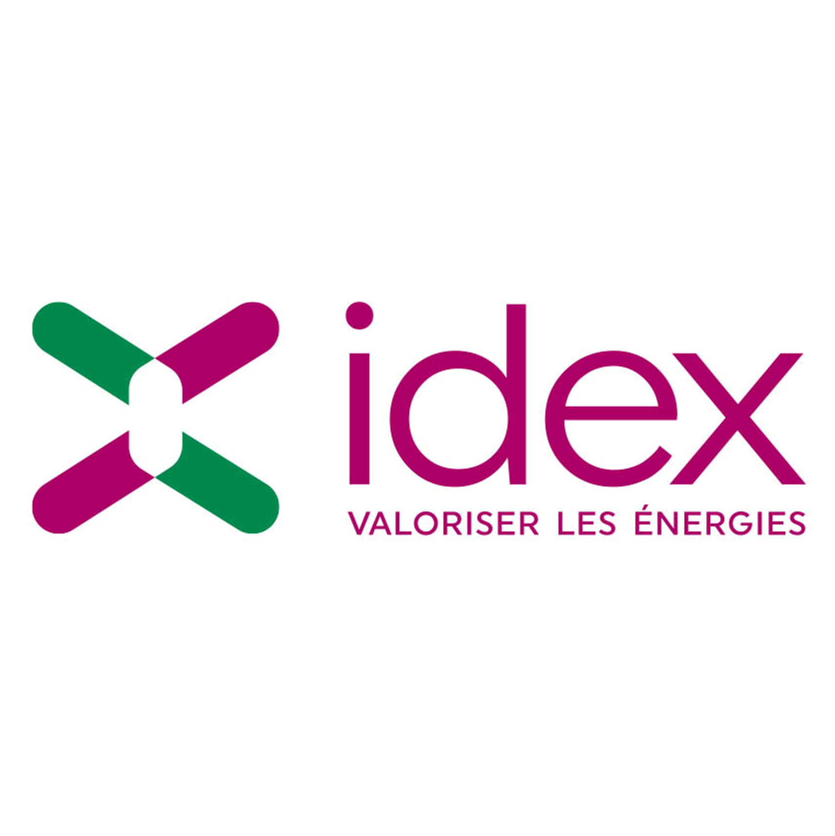 Logo Idex